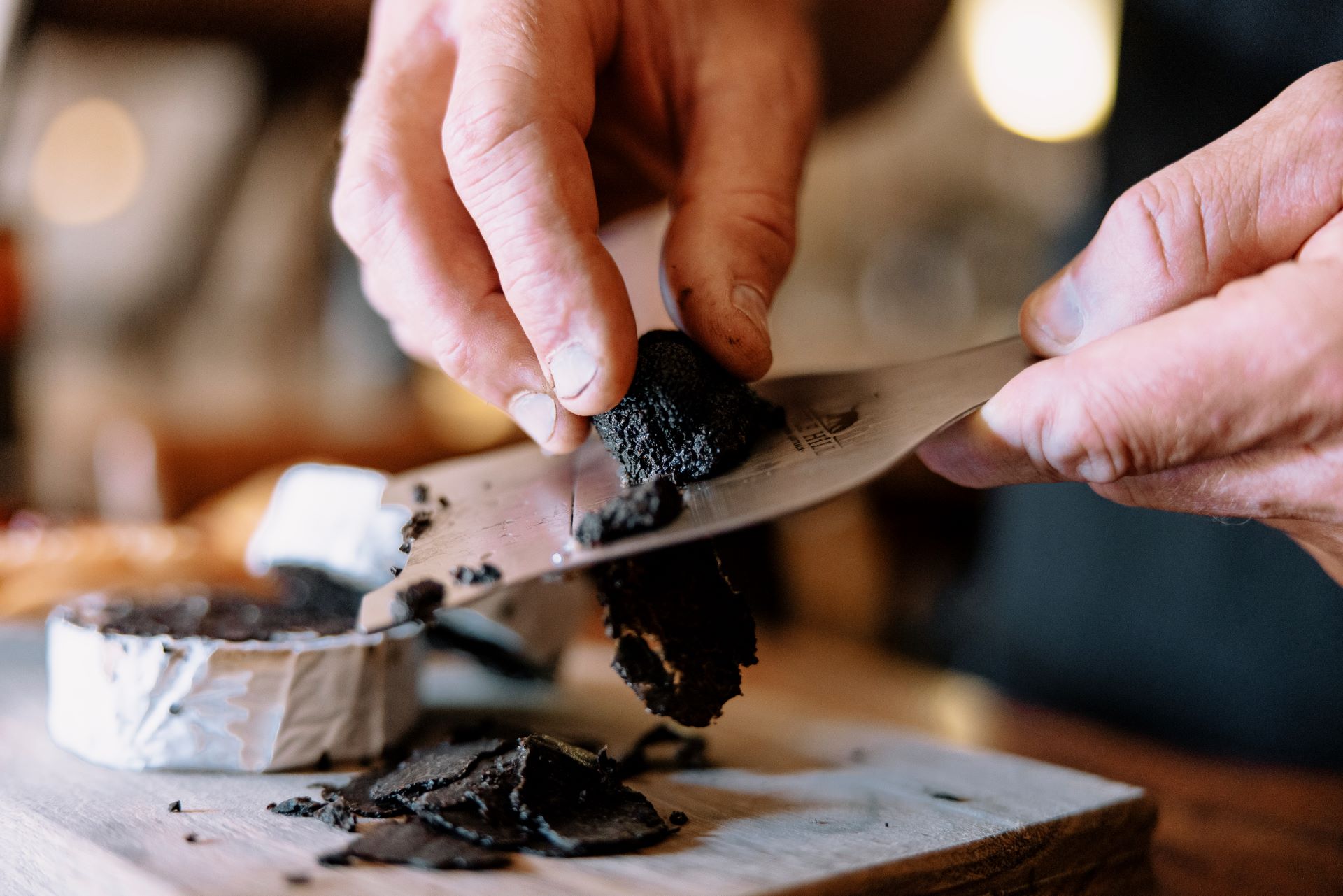 Winter Truffle Hunt, Touch and Taste: The Immersion Experience.