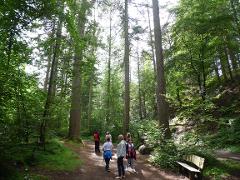 Inverness, Loch Ness & Highland Wonders Private Day Tour