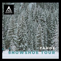 Day: Snowshoe Tour