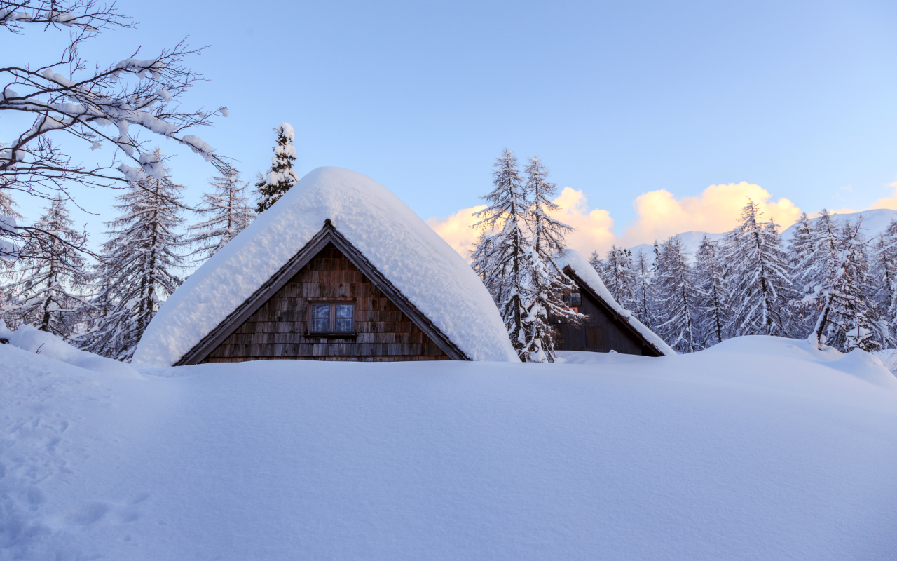 Lodge Based: Snowshoeing Skills