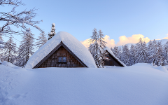 Lodge Based: Snowshoeing Skills