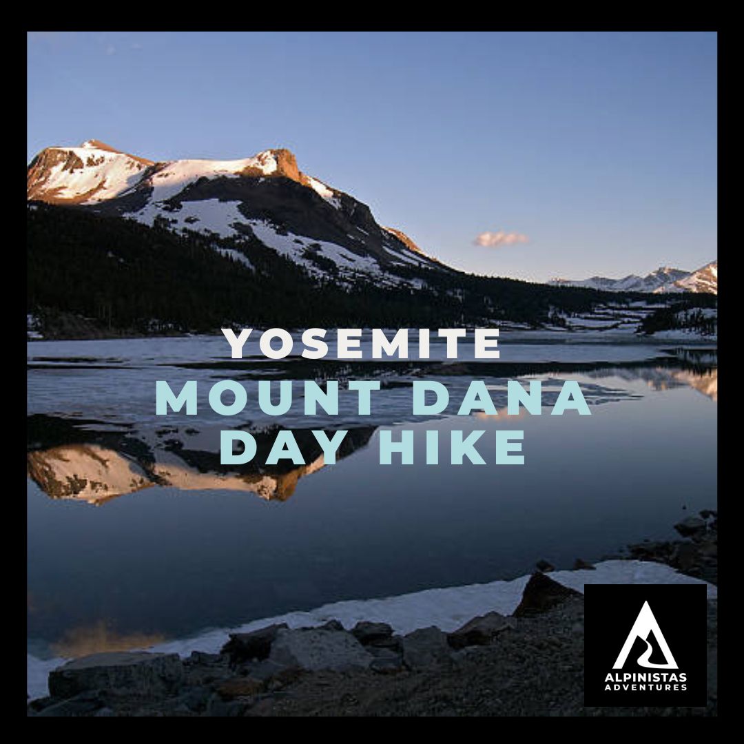 Day: Mount Dana - Yosemite