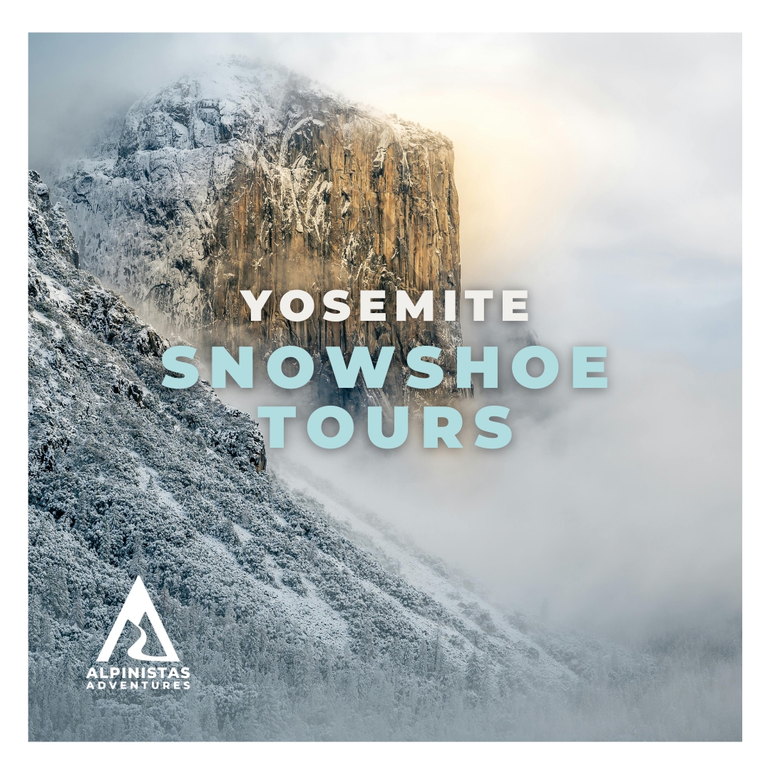 Day: Yosemite Snowshoe Tour