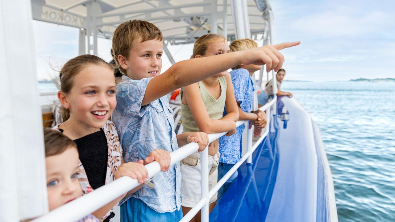 Cruise with Culture (2.5hr)
