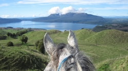 Trig Point Farm Trek