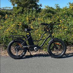 Small Adult/Teen E-Bike - Fat Tyre Freedom Machine