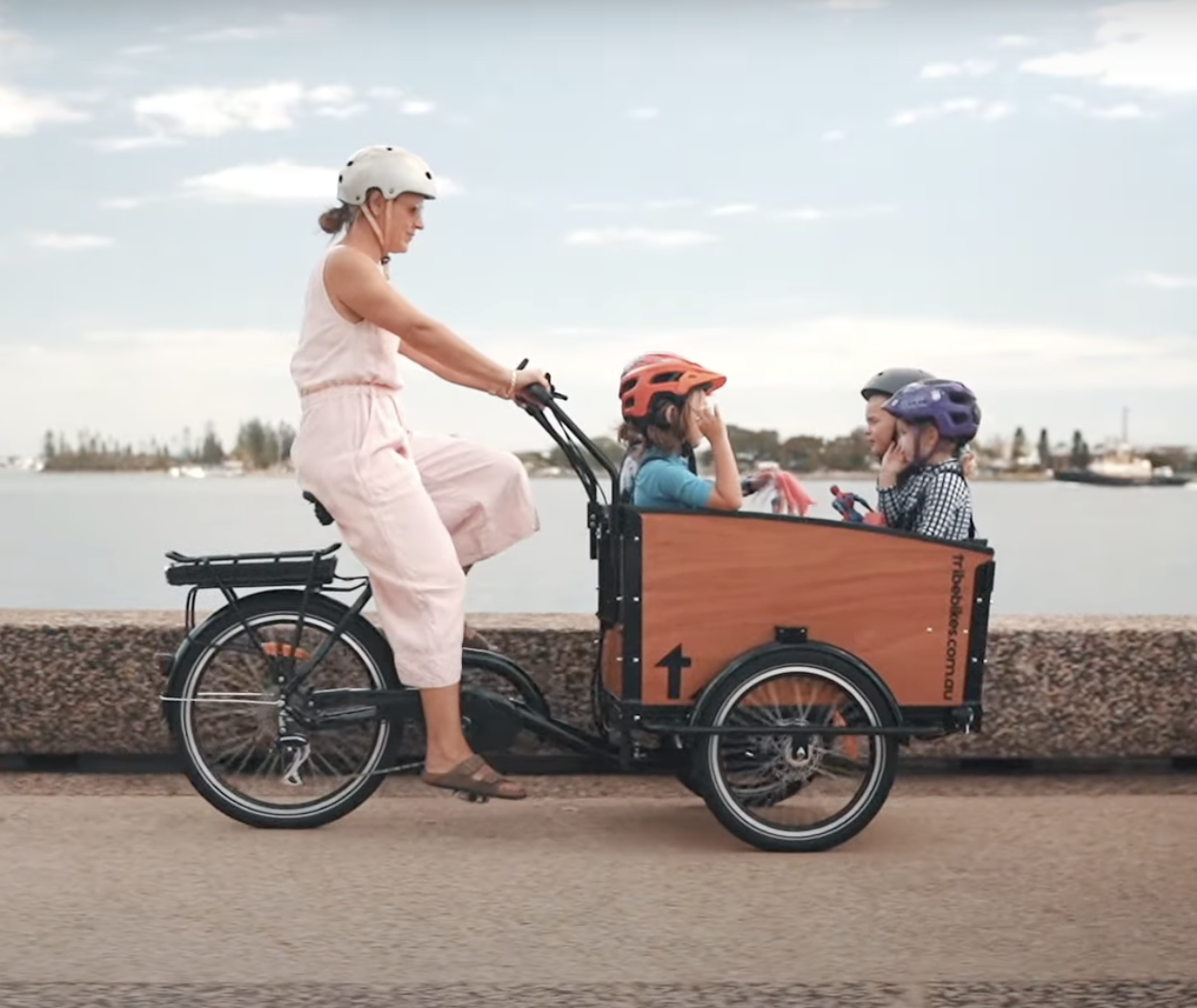 Electric Cargo Trike (Adult/Accessibility) Pickup Murwillumbah Railway Station