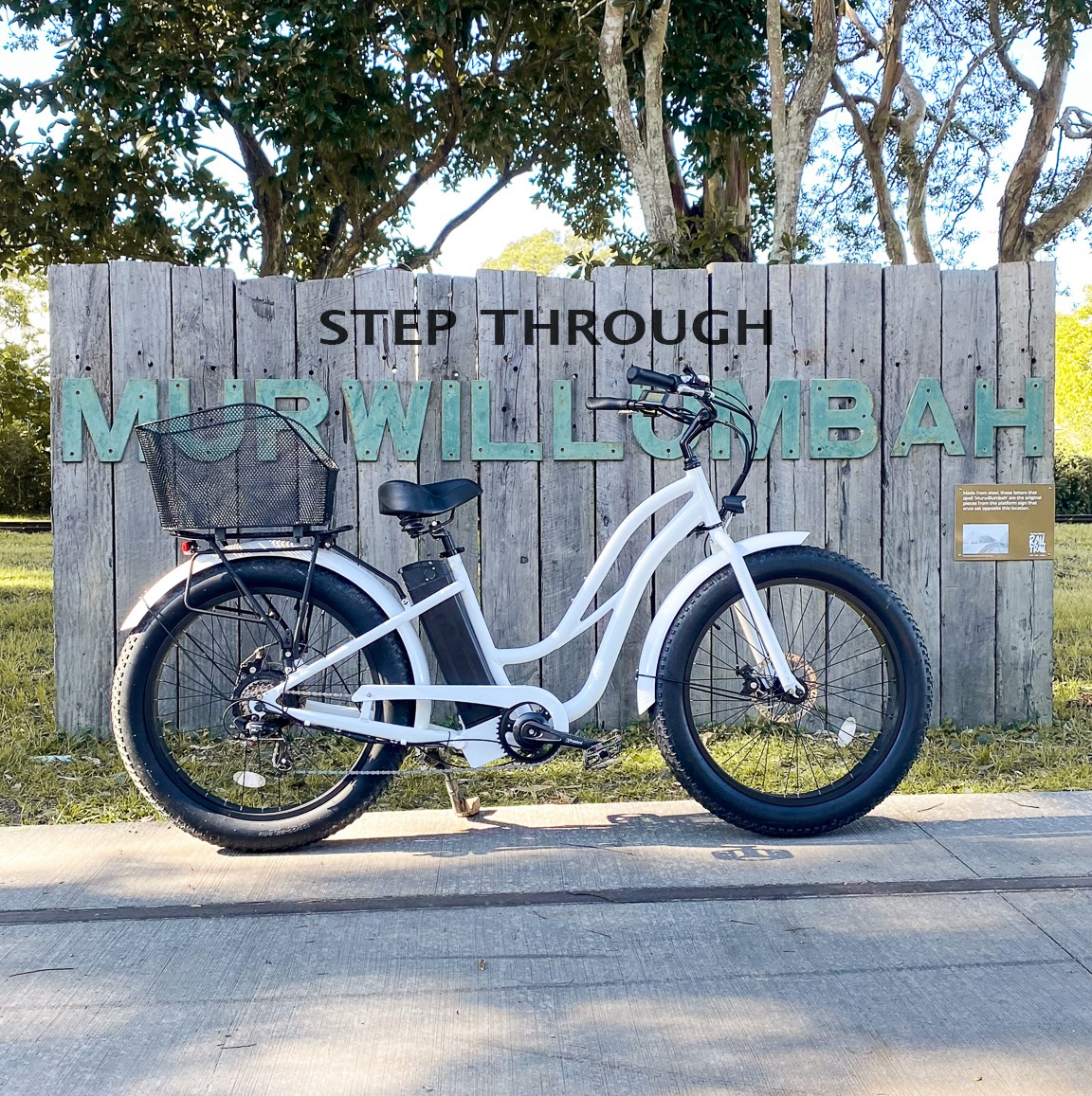 Adult E-Bike - Fat Tyre Freedom Machine 