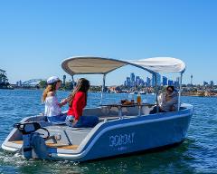 GoBoat Sydney (Cabarita) - 3 Hour Electric Picnic Boat Hire (up to 8 people)