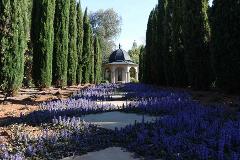 Griffith Emeri's Garden Photos Package