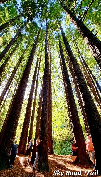 HIKING DAZE - Monthly Hiking Group - SEQ