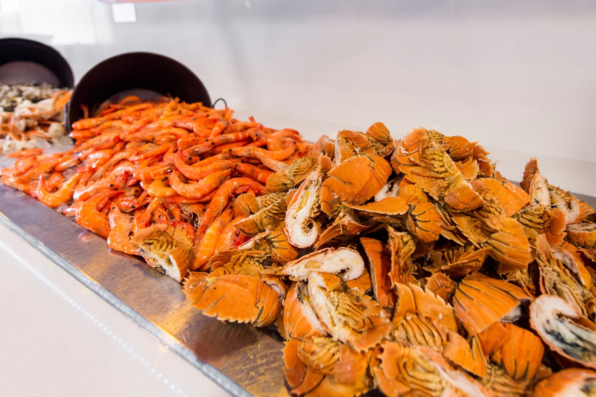 Gold Coast Summer Cruising on Kokomo Charter