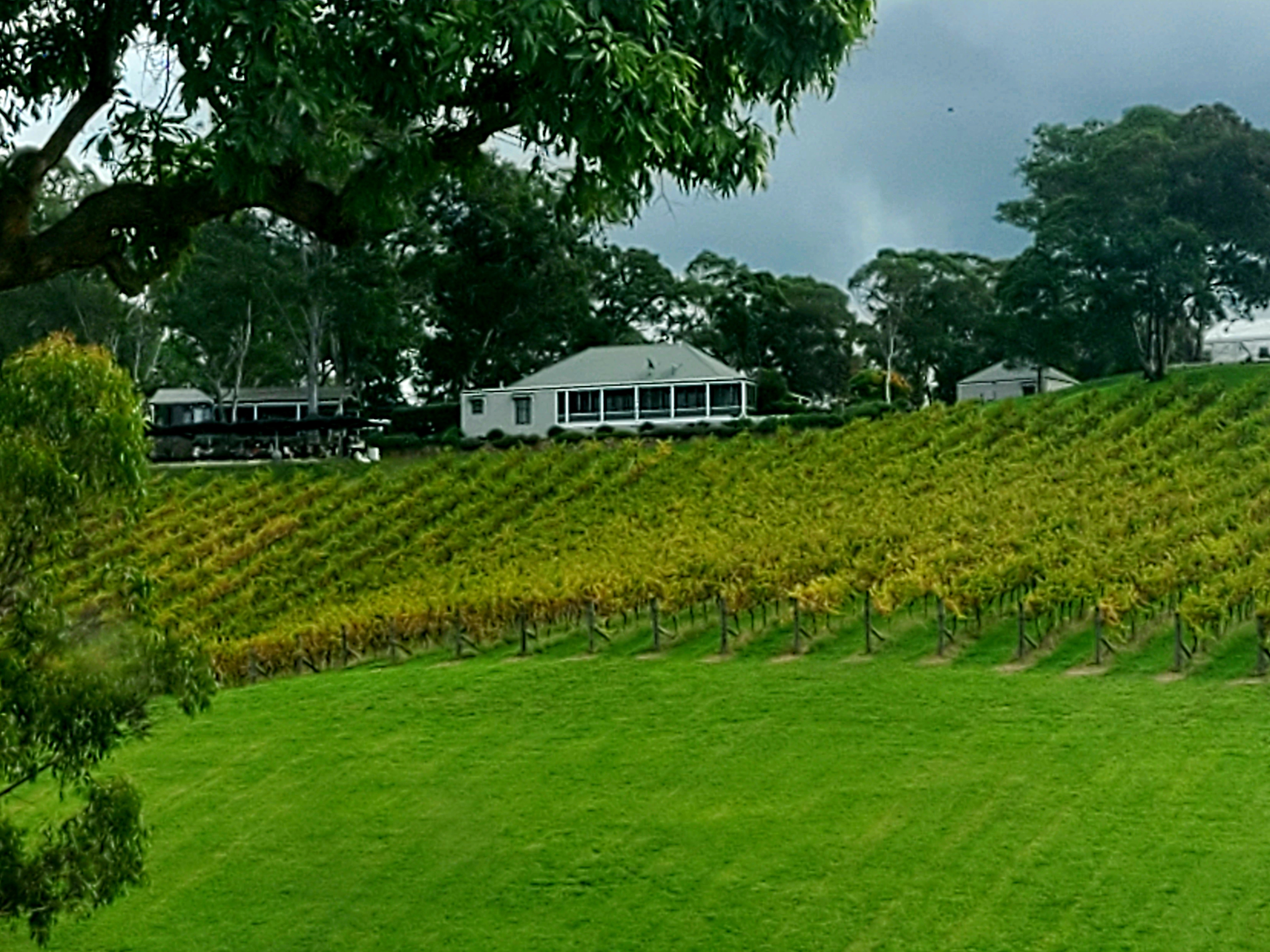 SIX FOOT TRACK SUPPORTED HIKE OR ENJOY SIGHTSEEING