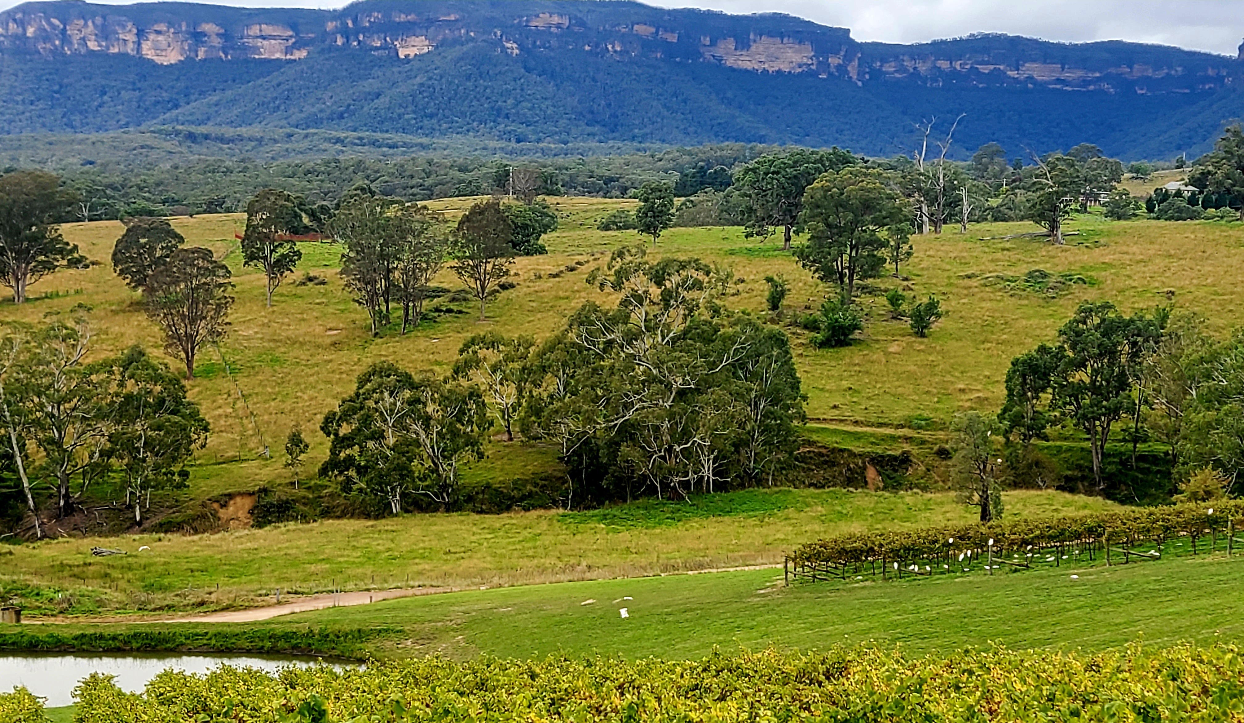 SIX FOOT TRACK SUPPORTED HIKE OR ENJOY SIGHTSEEING