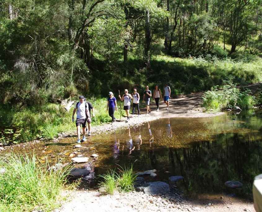 SIX FOOT TRACK BLUE MOUNTAINS HIKING