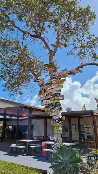 CAIRNS TO CAPE YORK 4WD ROAD TRIP ADVENTURE