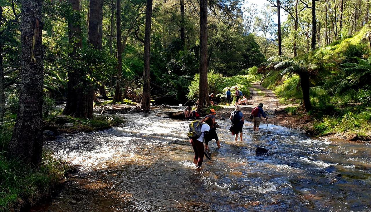 SIX FOOT TRACK BLUE MOUNTAINS HIKING