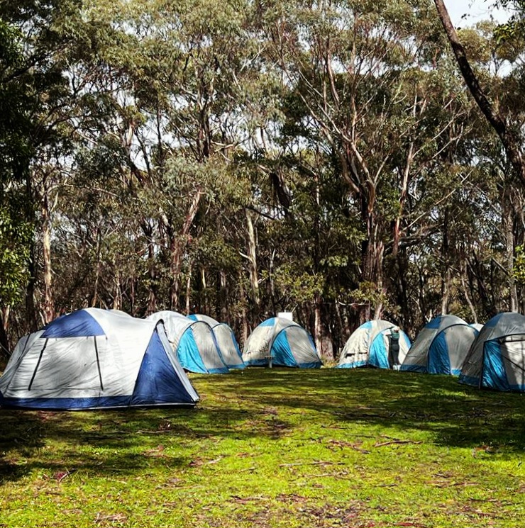 SIX FOOT TRACK SUPPORTED HIKE OR ENJOY SIGHTSEEING