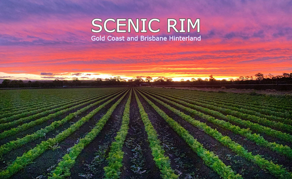 SCENIC RIM ULTIMATE 2 DAY TOUR