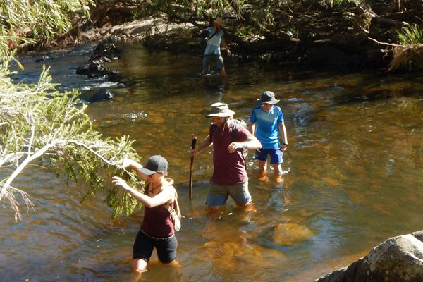 NORTHERN RIVERS NATURE ODYSSEY - BYRON BAY TO CLARENCE RIVER ADVENTURE