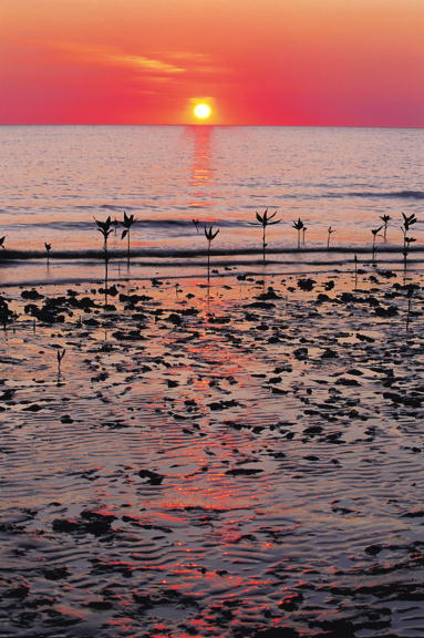 ULTIMATE CAPE YORK EXPEDITION: From Cairns to the Tip