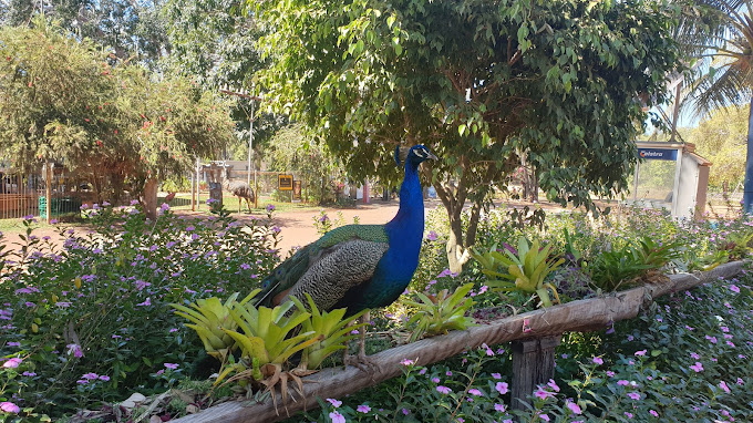 ULTIMATE CAPE YORK EXPEDITION: From Cairns to the Tip