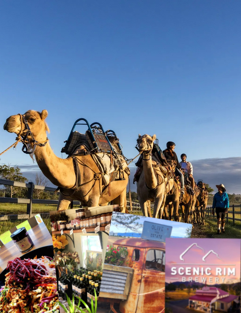 SCENIC RIM ULTIMATE 2 DAY TOUR