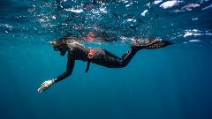 Fun Dive | Snorkel | Line Dive - Julian Rocks Byron Bay