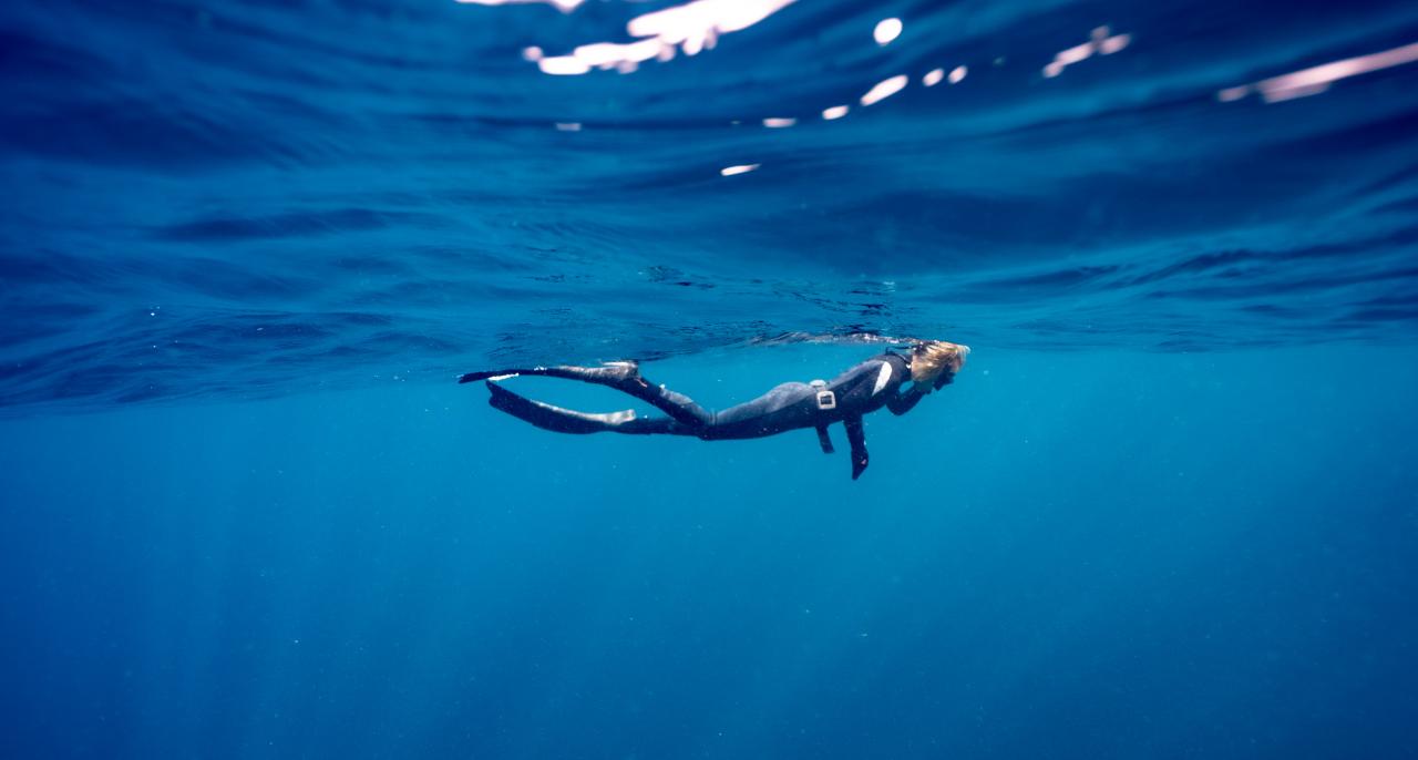 Fun Dive | Snorkel | Line Dive - Gold Coast