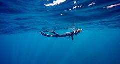 Fun Dive | Snorkel | Line Dive - Gold Coast