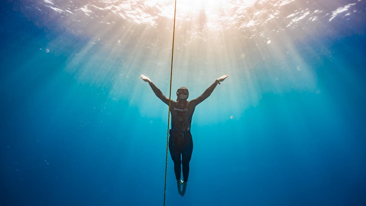 Freediving Course - Level 1 (Or Advanced if applicable) - Sunshine Coast 