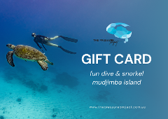 Gift Card | Snorkel & Fun Dive Mudjimba Island