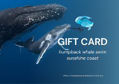 Gift Card | Swim with Humpback Whales | Sunshine Coast