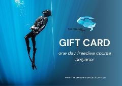 Gift Card | Freediving Course - One Day (Beginner) | Sunshine Coast, Byron Bay, Gold Coast