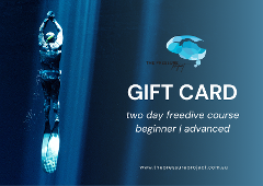 Gift Card | Freediving Course - Two Day (Beginner or Advanced) | Sunshine Coast, Byron Bay, Gold Coast