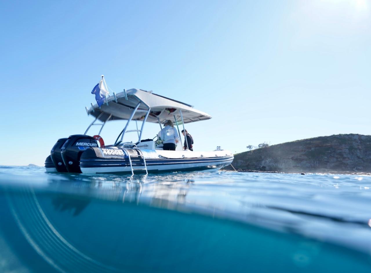Private Whale Charter Half Day | Weekday