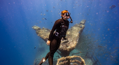 Fun Dive & Line Dive/ Day 2 | HMAS Sunshine Coast