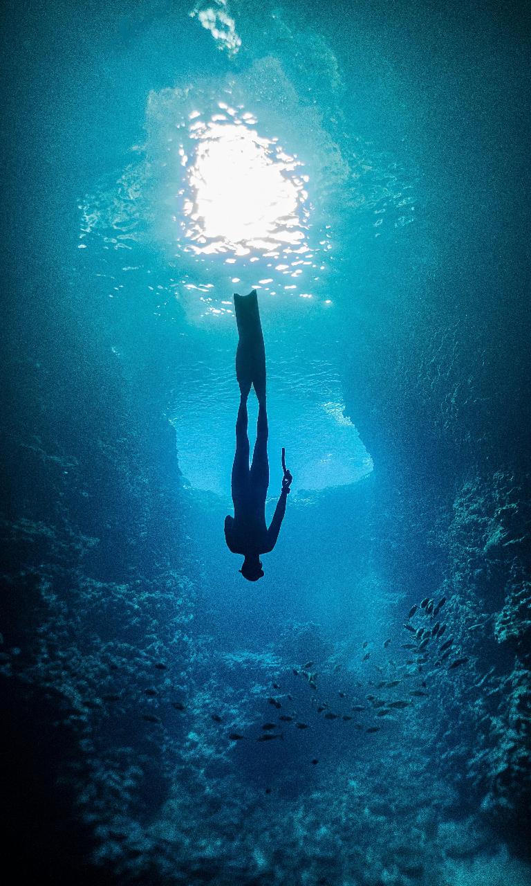 Intro to Freediving | Sunshine Coast