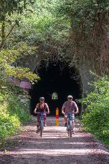 Guided Evening Glow Worm Experience - Byron Bay