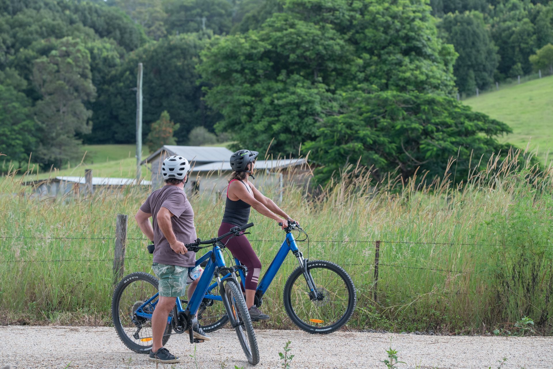 Northern Rivers Rail Trail ride with return transport