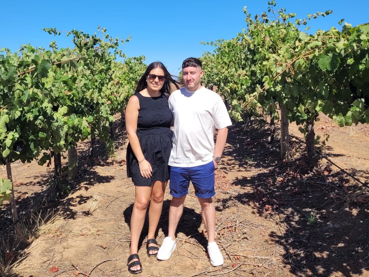 4 hour Wine Experience (Vineyard Walk, History Movie, Wine Tasting like a Pro, 8 Wines Tastings, Lunch at the Pavilion)