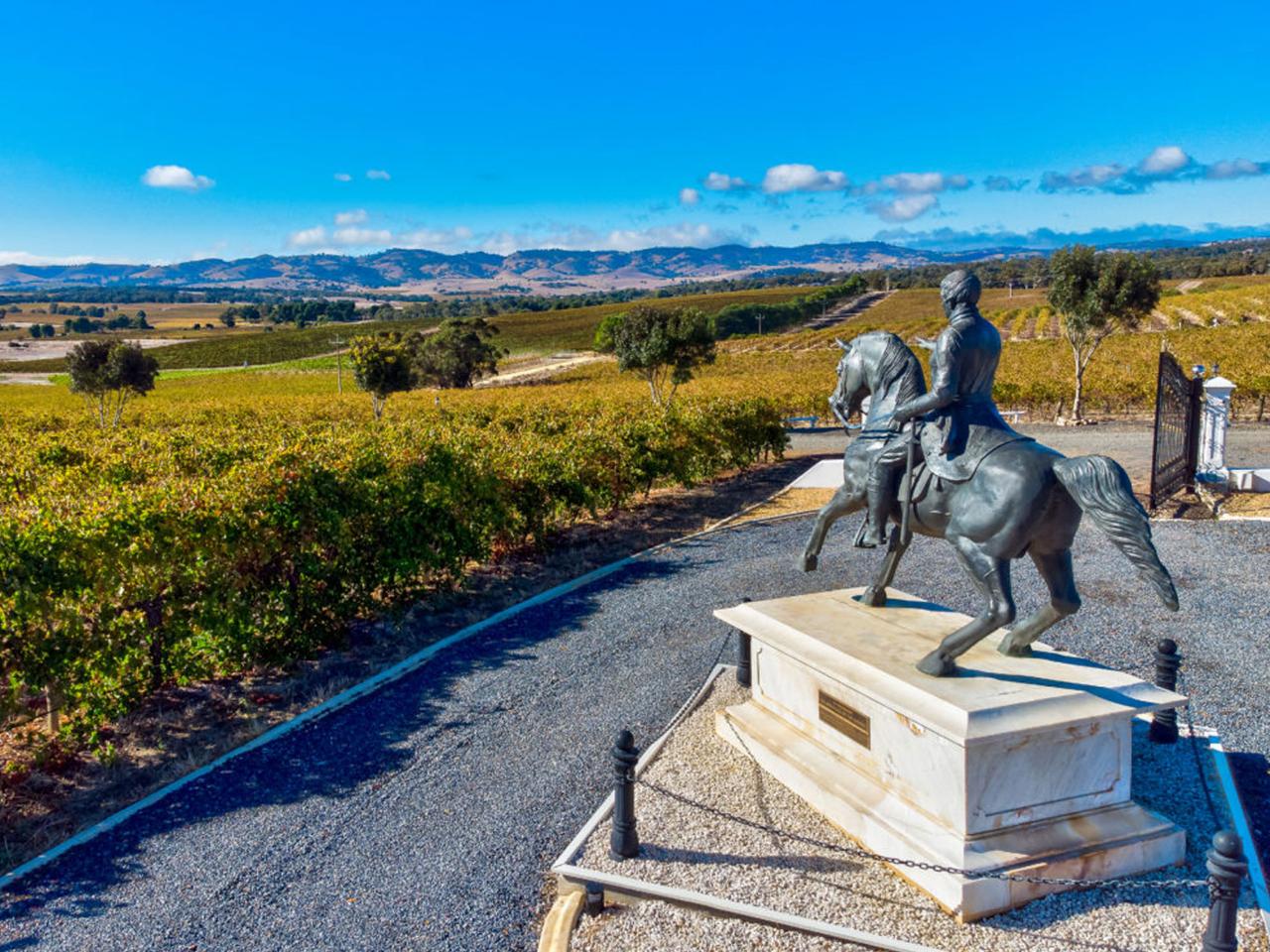 1837 Barossa: 1-Hour Wine Experience - History Movie, Wine Tasting Like a Pro, 4 Reserve Tastings - Photo 8