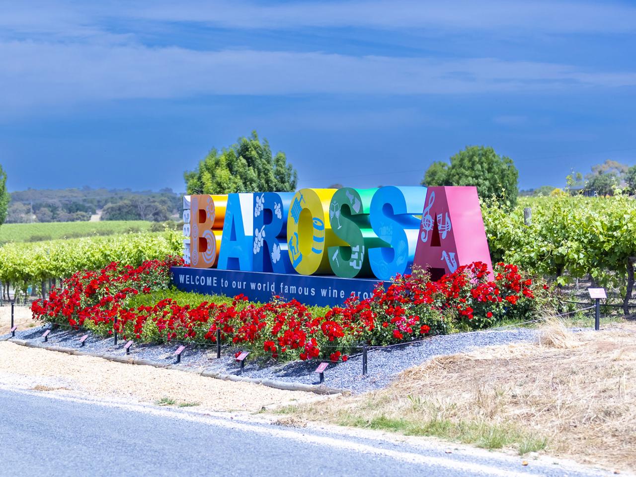 1837 Barossa: 1-Hour Wine Experience - History Movie, Wine Tasting Like a Pro, 4 Reserve Tastings - Photo 5