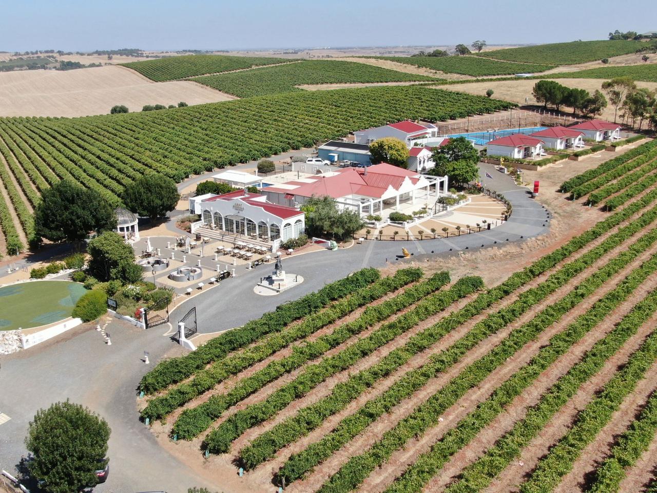 1837 Barossa: 1-Hour Wine Experience - History Movie, Wine Tasting Like a Pro, 4 Reserve Tastings - Photo 4