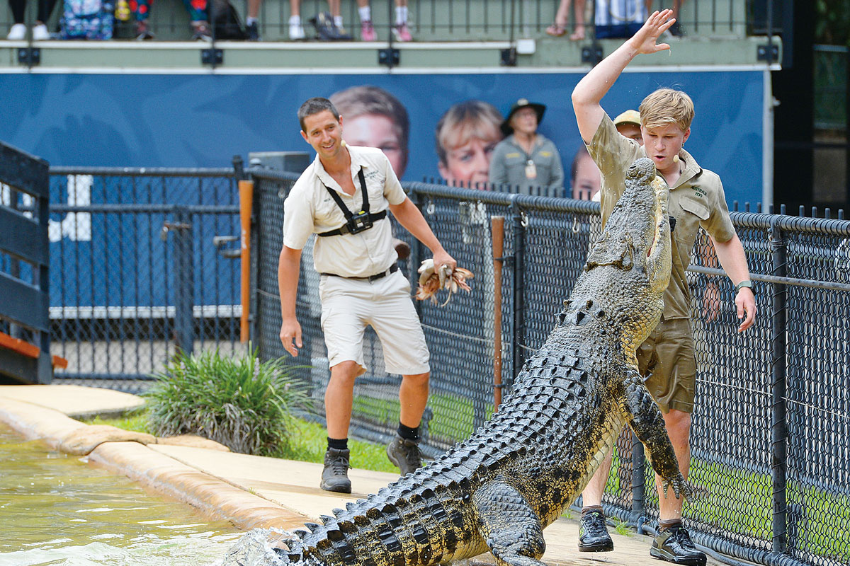 Croc Express to Australia Zoo departing Brisbane (Ticket and Transfers)