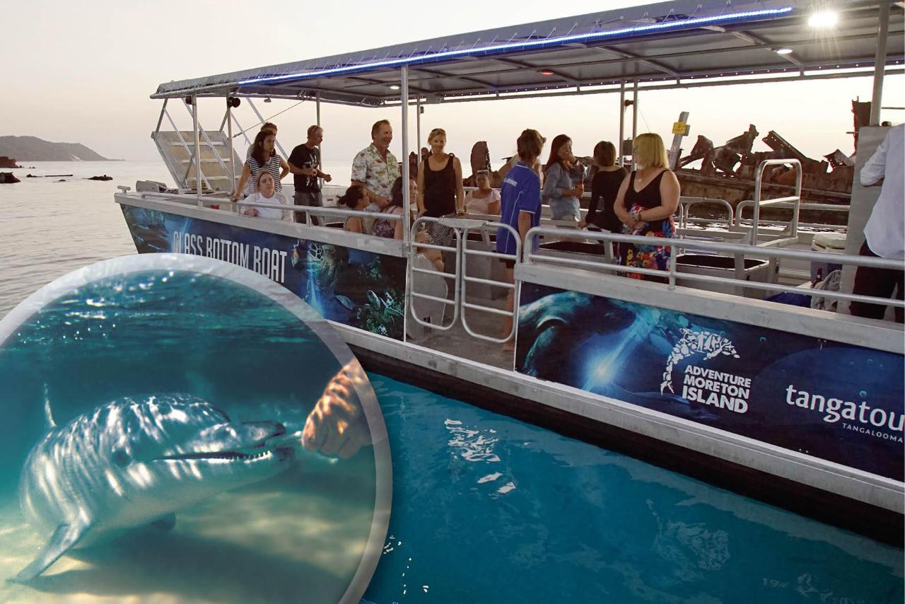 Marine Discovery Day Cruise Upgrade Dophin Feeding ex Gold Coast