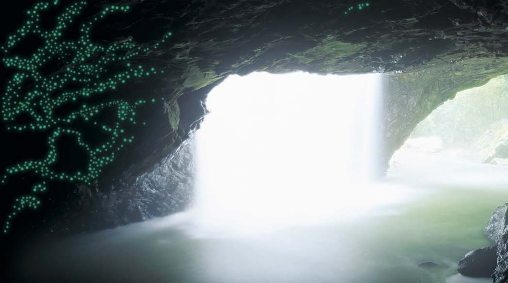 Natural Bridge Glow Worm Night Tour departing Gold Coast