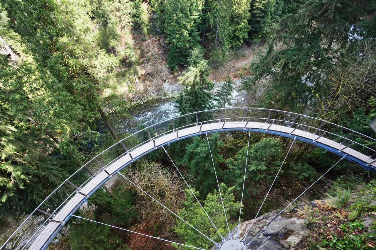 Grouse Mountain & Capilano Suspension Bridge Park Tour