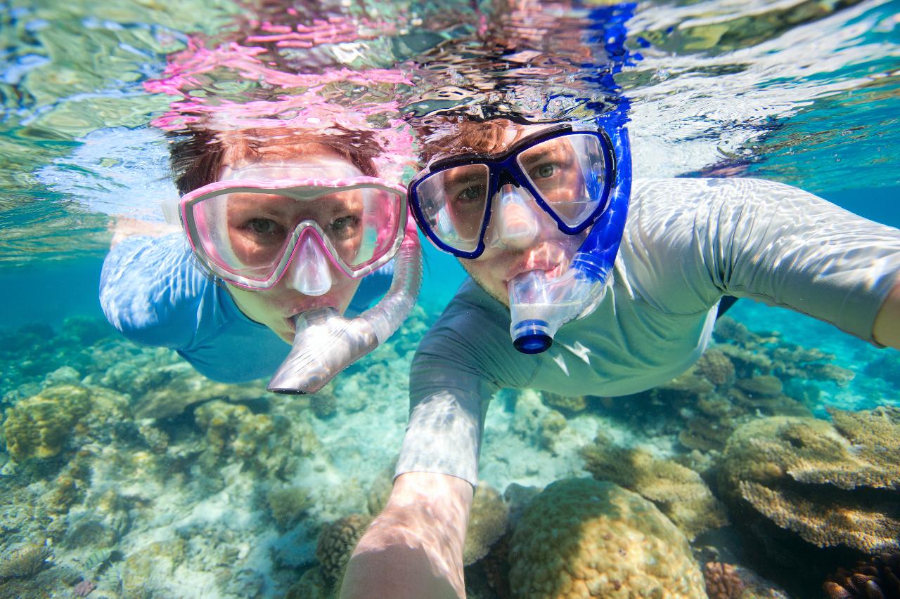 Great Barrier Reef Snorkeling and Diving Cruise from Cairns.