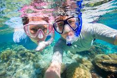 Great Barrier Reef Snorkeling and Diving Cruise from Cairns.